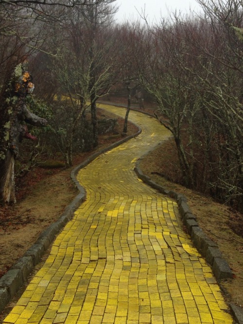 waitingforavarose: coolcumbers: coffee—queen: Abandoned Wizard of Oz theme park, January 2015 