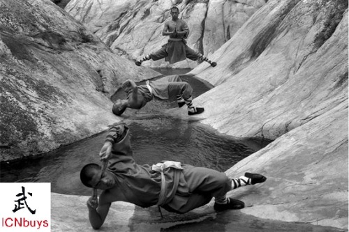 Sex kungfutaichionline:  Shaolin Kung Fu, also pictures