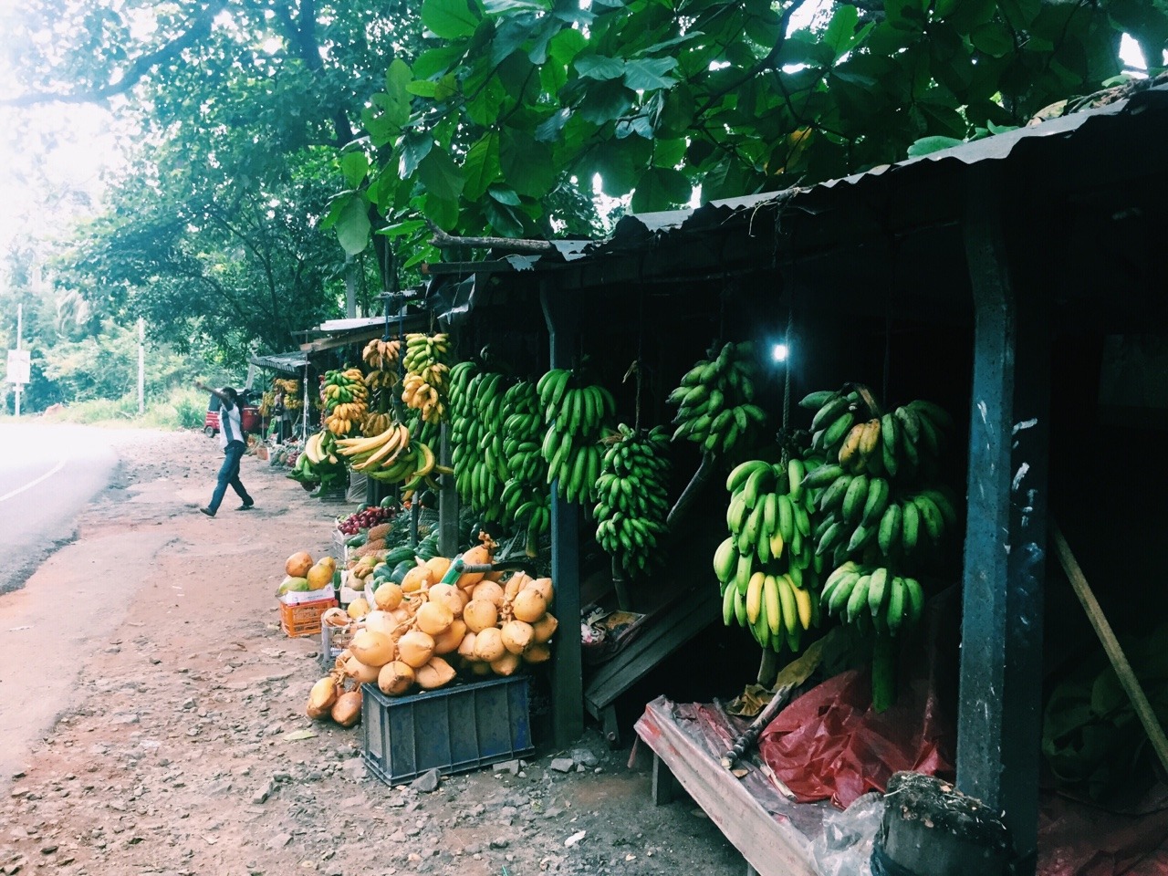 eartheld:  amant-terram: Roadside markets = yummy road trips 🍌🍎🍏🍊🍋🍒🍇🍉🍓🍑🍈🍌🍐🍍🍠🍆🍅🌽
