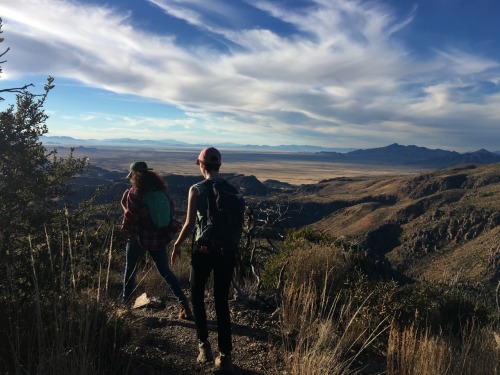 thetwigandthetamarack:Chiricahua National Monument || Willcox, AZ || january 8, 2017