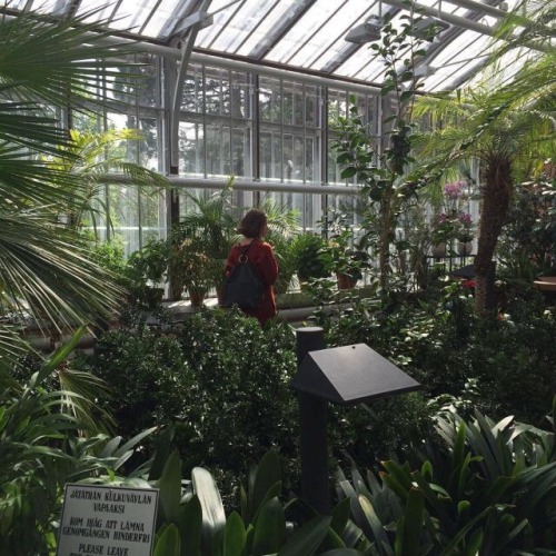 urbannoir:greenhouse moodboard