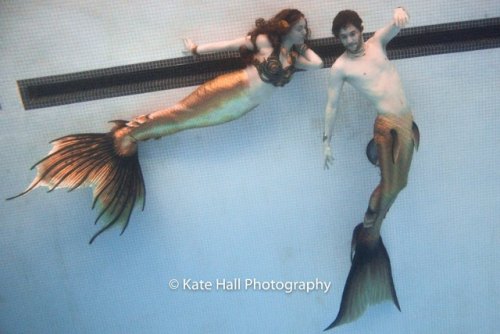 www.mermaidraina.comwww.halifaxmermaids.comwww.makemeamermaid.com