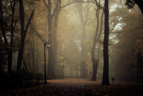 escapekit:  12 Month Poznan/Poland Poland based photographer Erik Witsoe has put together a calendar, using his images and showcasing each month with them.  