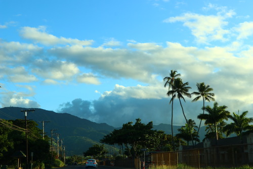 blueskyhighphotography:Drives in Hawaii