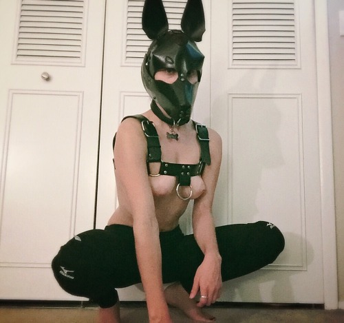 XXX puplaika:  Fully woman, partly hound. photo