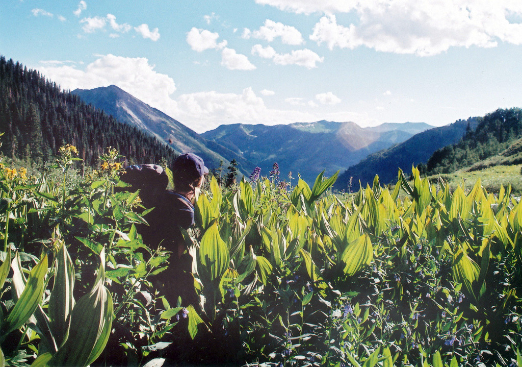 mystic-revelations:  Untitled By Jocelyn Catterson 