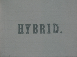 365filmsbyauroranocte:  Hybrid (Jack Chambers, 1967)  