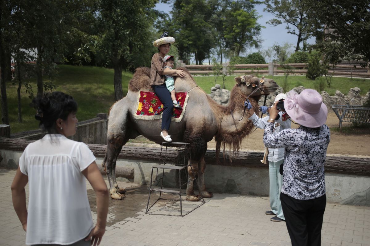 fotojournalismus:  A Day at the Zoo in Pyongyang (August 23, 2016)Photos by Dita