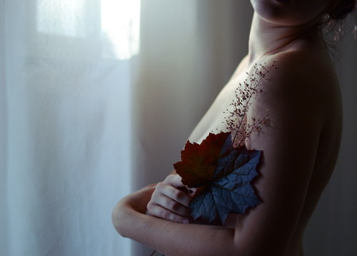 wolfundermyskin:  Build up a new me of flowers and blood (x) 