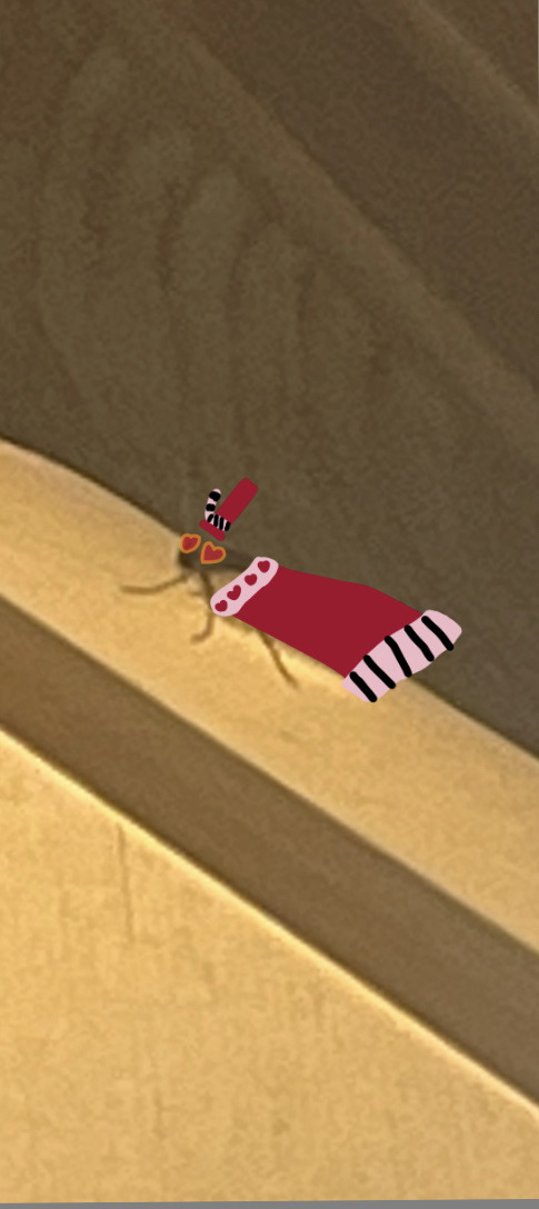 There Was A Moth In My Room And That Was All I Could Think About