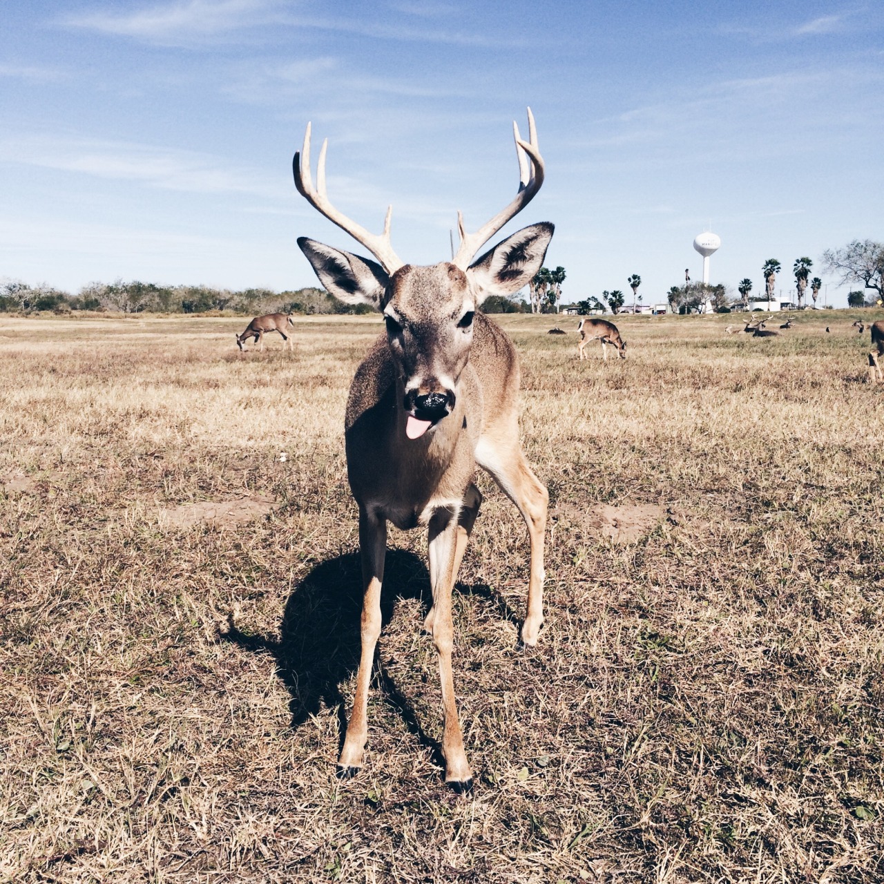 danielodowd:  http://joester.vsco.co/