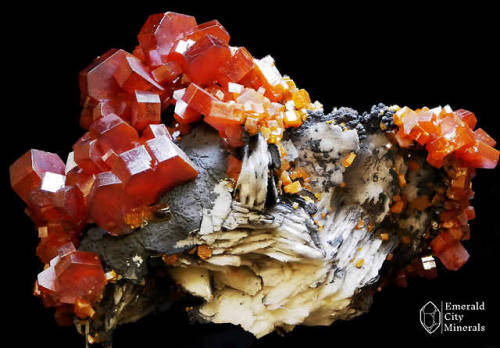 emeraldcityminerals:A jumble of bright-red, lustrous, gemmy vanadinite (Pb5(VO4)3Cl) crystals on per