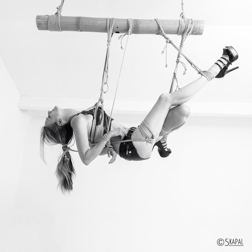 acordesetacris:  Shibari