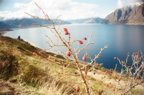 Glenorchy scenic drive | New Zealand (2019) 