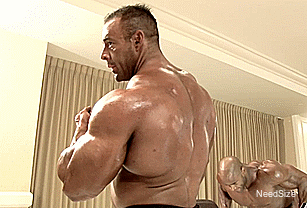 studs - male muscle fight aggression leather