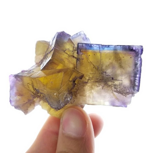 Here&rsquo;s a nice yellow/blue Illinois fluorite up in the shop. I actually found it recently a