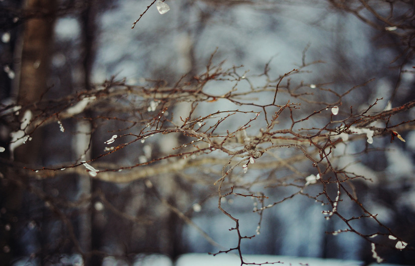 natureac:  This blog will make you feel at peace 