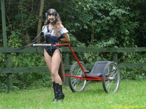 prohibited59:    ponygirl with cart  
