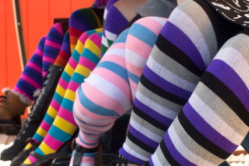 sockdreams:Sock Journal: Our Proudest Year YetEvery year we do a round-up of our rainbow socks for J