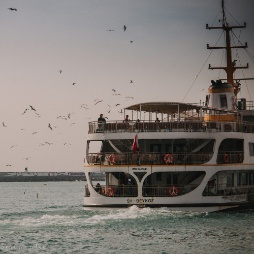 I Wish I Was There Right Now. On The Ferry...Feeling The Breeze, Watching The Seagulls...