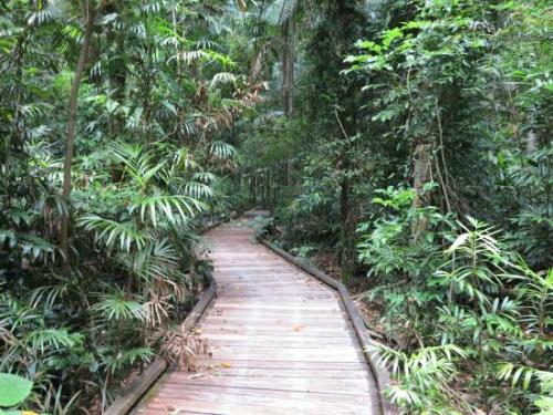 oceaniatropics: Victoria Park Nature Reserve, NSW