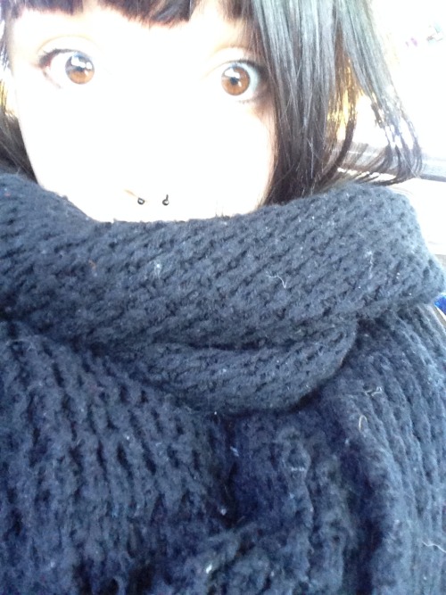 moosesandmaples:  Cozy to the closest equator and back.