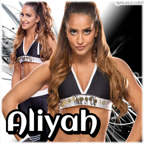 Current WWE NXT Womens Division (As Of October 2016)
