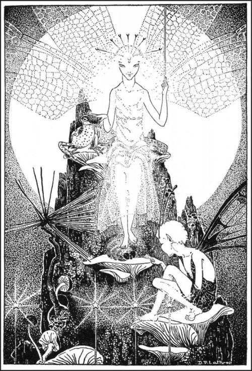 Dorothy Lathrop