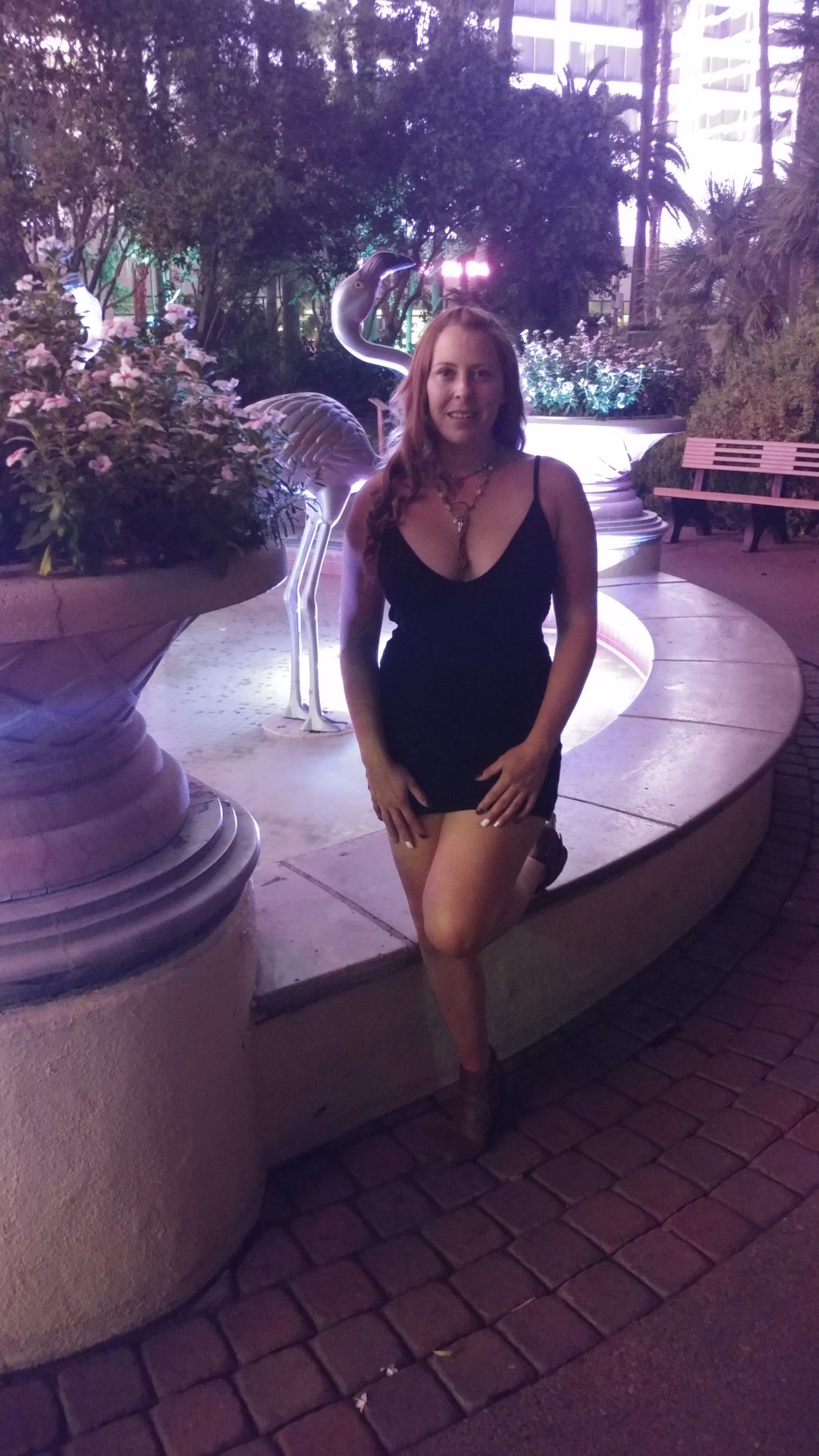 There wasn’t a caption with this but it looks like the Flamingo to me. Thanks for