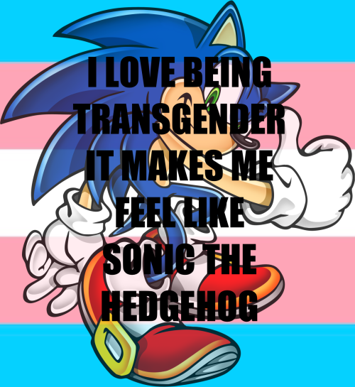 An image of a Yuji Uekawa sonic drawing where he's smiling and holding a thumbs up. He's on top of a background with the trans flag and text is overlaying the image saying "I LOVE BEING TRANSGENDER IT MAKES ME FEEL LIKE SONIC THE HEDGEHOG" in impact text.