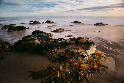 El Matador Beach, California