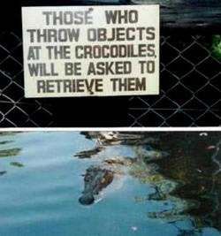 archiemcphee:  Pleated-Jeans assembled a collection of 28 photos of wonderfully funny, strange or otherwise unexpected signs found posted at zoos. These are our favorites. Click here to view them all.  And please, help the fish finally quit smoking: