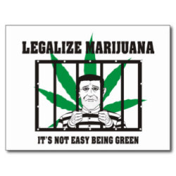 pineconeherb:  Legalize Marijuana Postcards