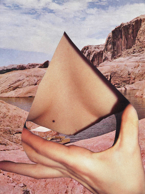 The wild life of your body! Created By Veloure &amp; Anita Dada