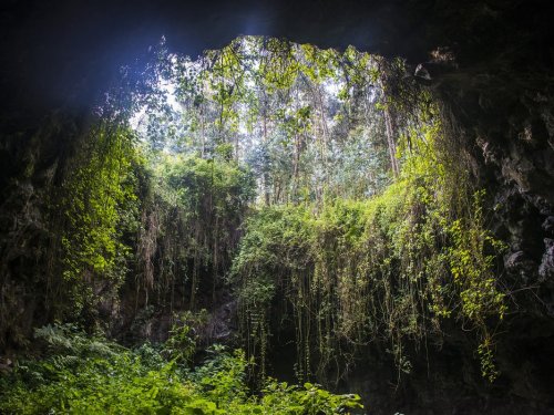 bojrk:Virunga National Park, Democratic Republic of CongoSource: Unknown