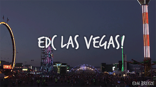 plur-panda:  anjellybeats:  ok can i go home now please?  WE.