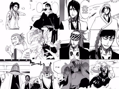 my-fanworks:Members of the Gotei throughout the years