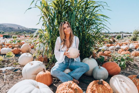 Halloween movies to watch