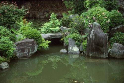 Japanese Bridges “Depending upon the size and nature of the pond, gardens that include bodies 