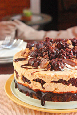 Do-Not-Touch-My-Food:  Peanut Butter And Brownie Cheesecake 