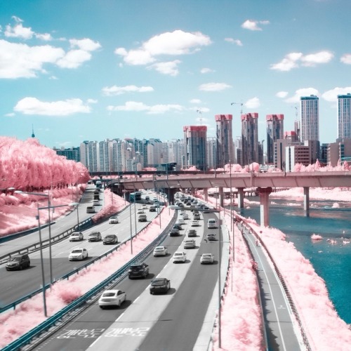 noealzii: Seoul summer