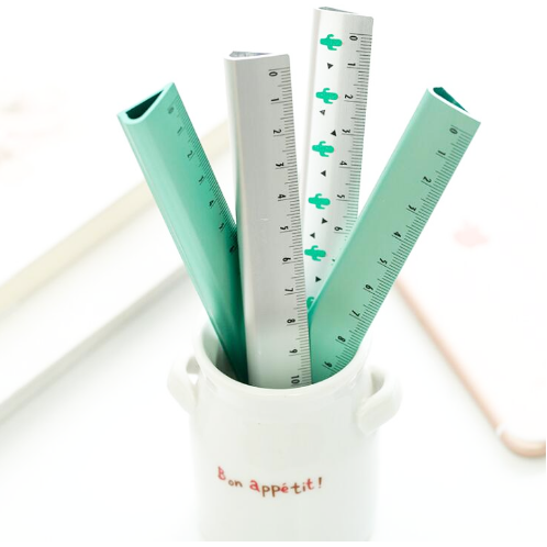 Cactus Ruler from Studyblr Store (free shipping!)