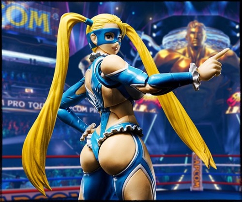 ghostjetshell:S.H. Figuarts | Street Fighter | Rainbow Mika