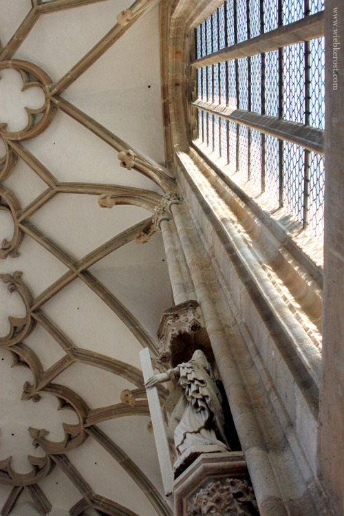 wiebkerost:Meißen Windows II: Gothic windows, Albrechtsburg and Dome of Meißen