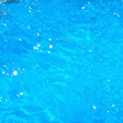 Whale Shark Stimboard
