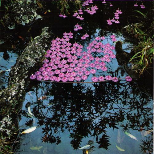 novr:  NILS-UDO“Sensations are omnipresent. I just need to pick them up and release them from their anonymity. Utopias are under every rock, on every leaf, behind every tree, in the clouds and in the wind. The sun’s course on the days of equinox;