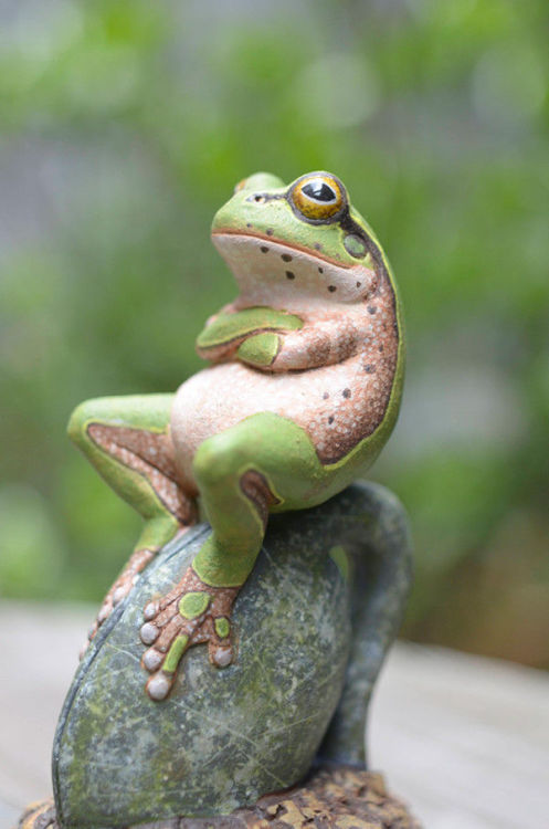 wolfstravelsinmind:  phototoartguy:  “Procrastinating Frog!”  Are you feeling froggy? Then jump. 