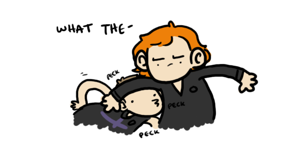 geothebio:  and here we see the elusive hawkeye, defending it’s mate 