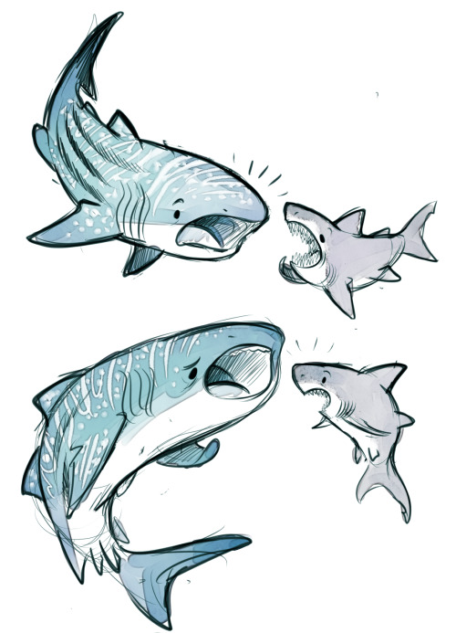sharkie-19:Whale and Great White sharks. :)