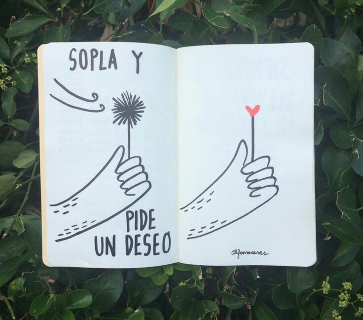 H o p e